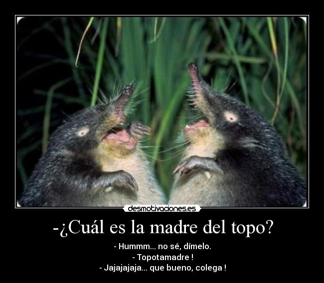 -¿Cuál es la madre del topo? - - Hummm... no sé, dímelo.
- Topotamadre !
- Jajajajaja... que bueno, colega !