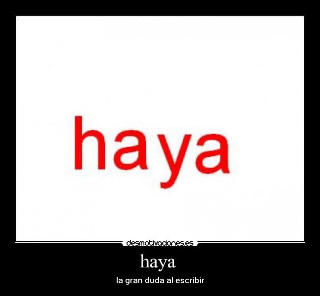 haya  - 