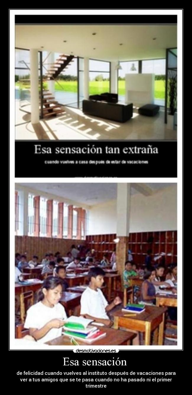Esa sensación  - de felicidad cuando vuelves al instituto después de vacaciones para
ver a tus amigos que se te pasa cuando no ha pasado ni el primer
trimestre