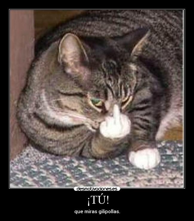 carteles nacheeteeh desmotivaciones