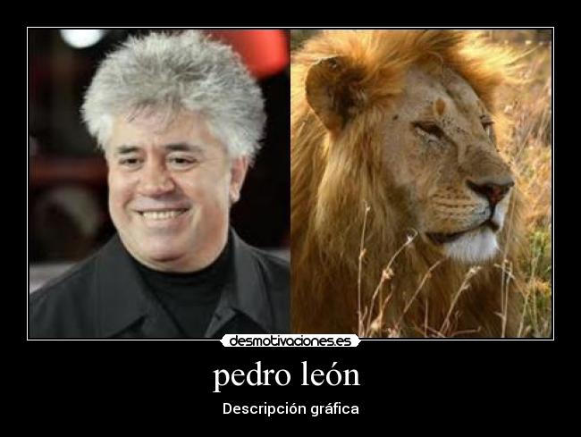pedro león  - Descripción gráfica