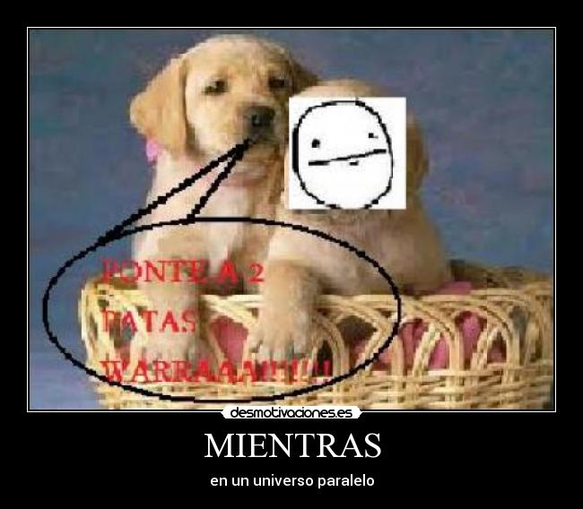MIENTRAS - en un universo paralelo
