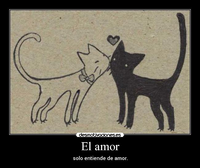 El amor -
