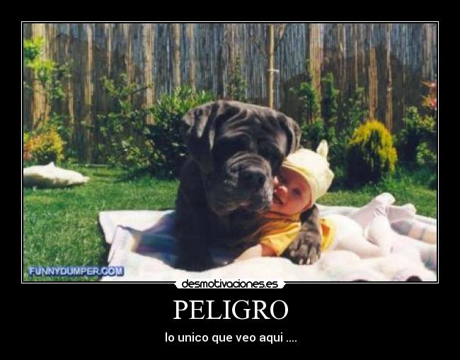 PELIGRO - 