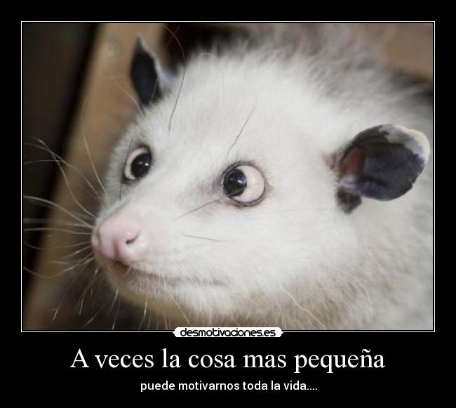 carteles heidi motivarnos toda vida desmotivaciones