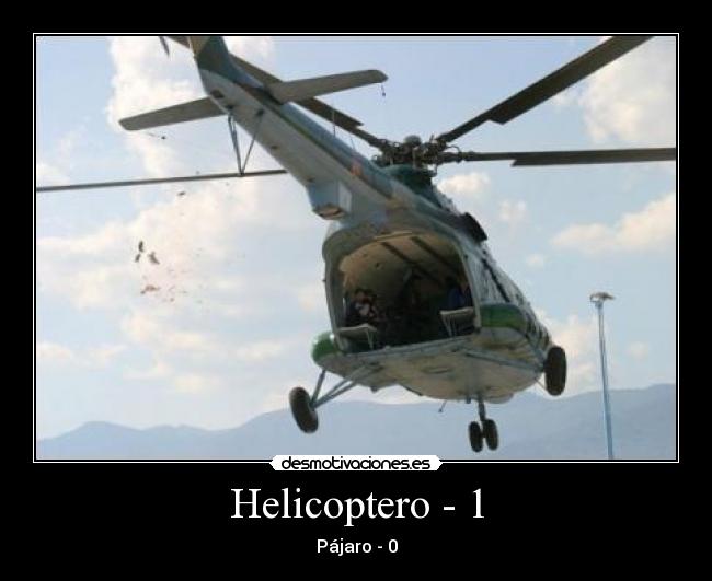 carteles pajaro helicoptero l94 mata aspa desmotivaciones