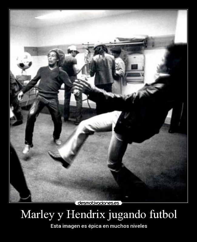 Marley y Hendrix jugando futbol - Esta imagen es épica en muchos niveles
