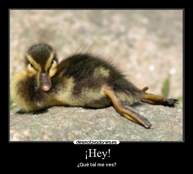 ¡Hey! -
