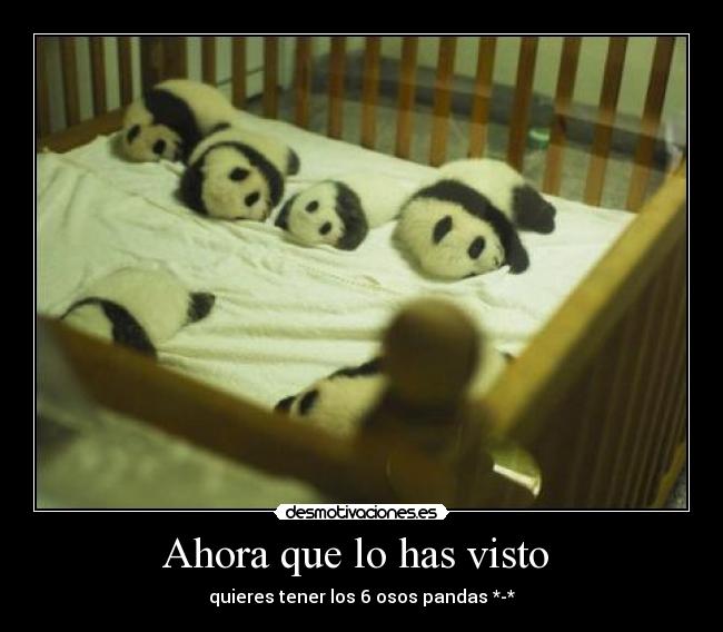 Ahora que lo has visto  - 