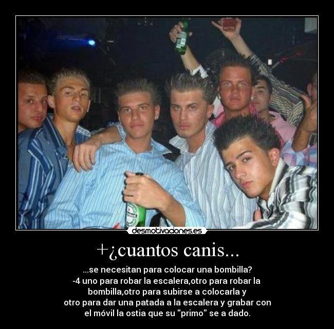 +¿cuantos canis... - 