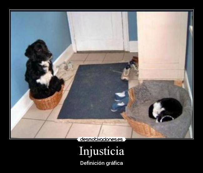 Injusticia -