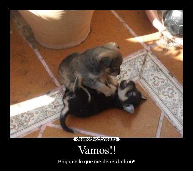 Vamos!! -