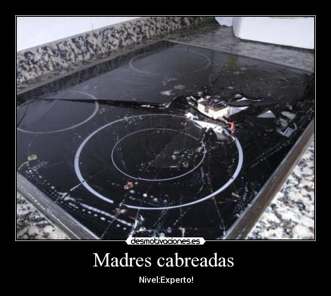 carteles madres cabreadas nivel experto desmotivaciones