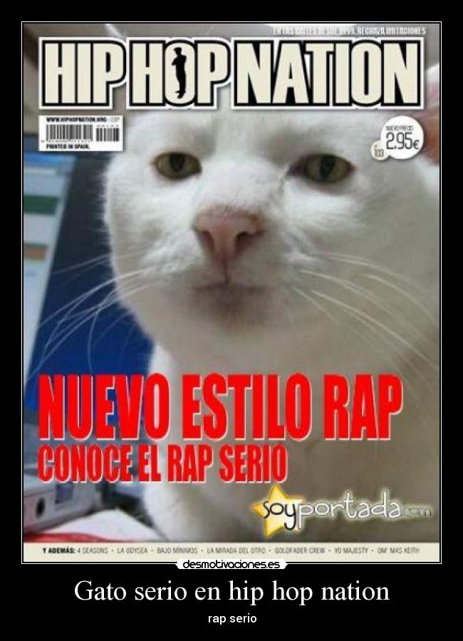 Gato serio en hip hop nation - 