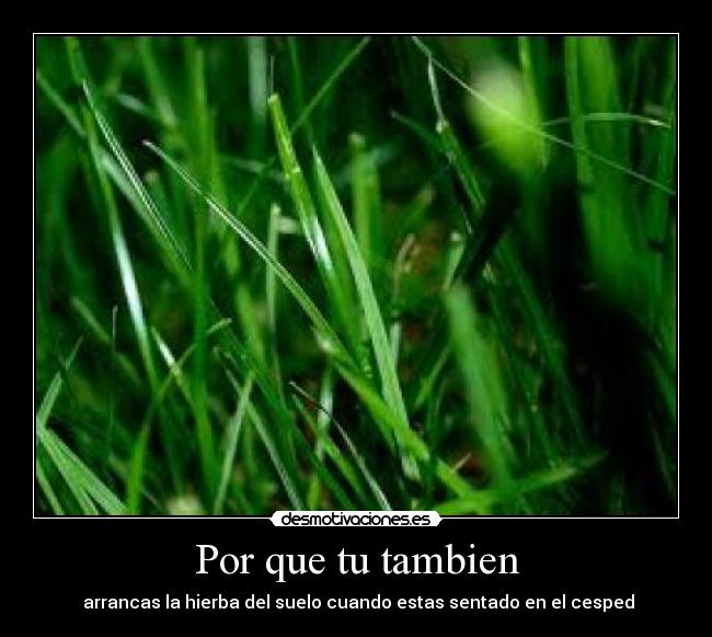 Por que tu tambien -