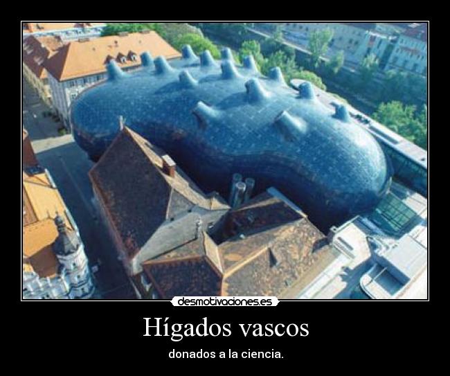 Hígados vascos - donados a la ciencia.
