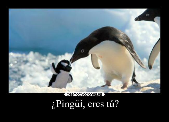 ¿Pingüi, eres tú? - 