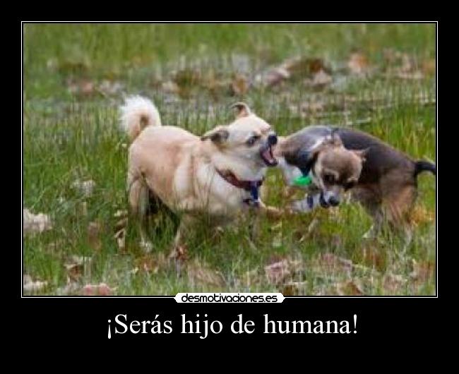 ¡Serás hijo de humana! -