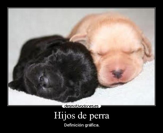 Hijos de perra -