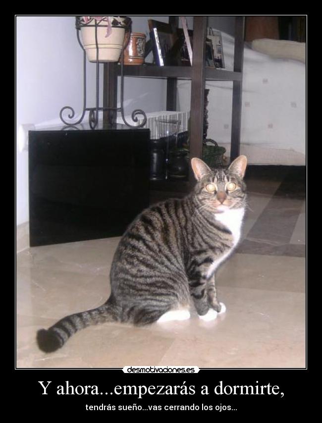 Y ahora...empezarás a dormirte, - tendrás sueño...vas cerrando los ojos...