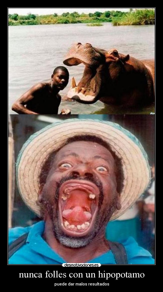 nunca folles con un hipopotamo -