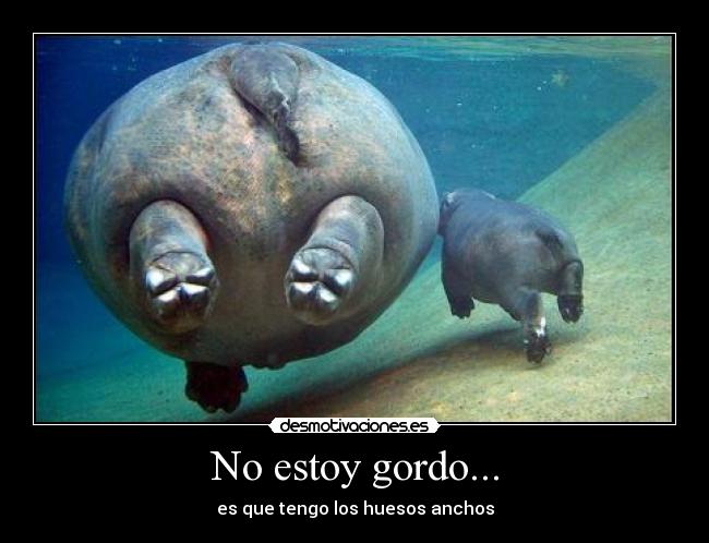 No estoy gordo... -