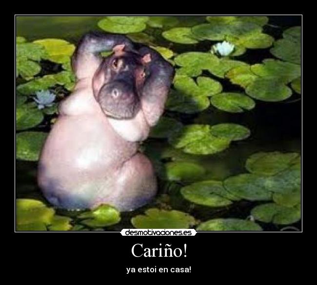 Cariño! -