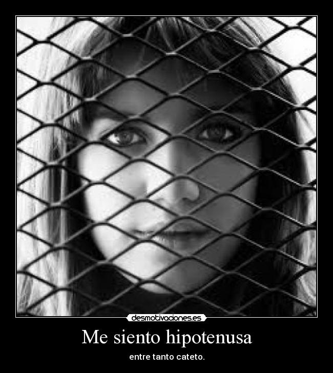 Me siento hipotenusa - entre tanto cateto.