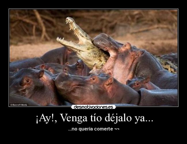 ¡Ay!, Venga tío déjalo ya... - ...no quería comerte ¬¬