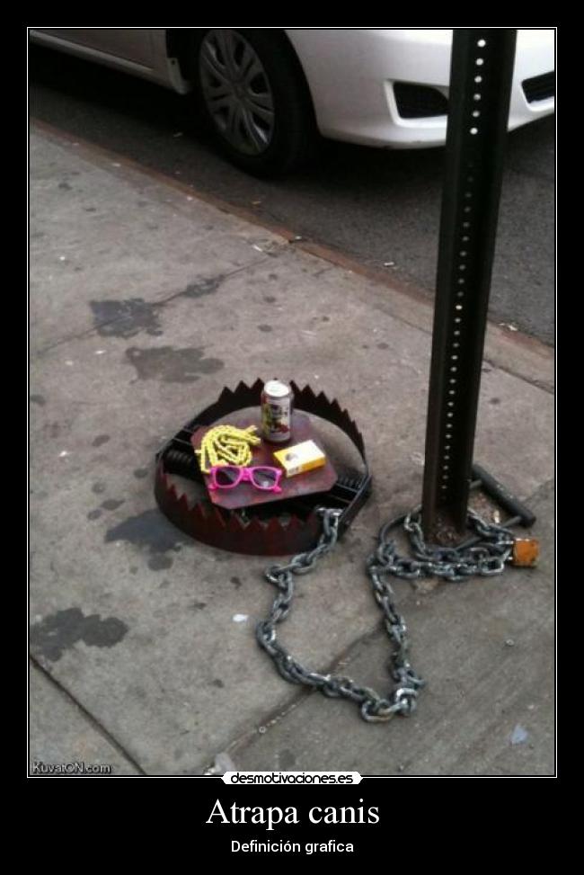 Atrapa canis - Definición grafica