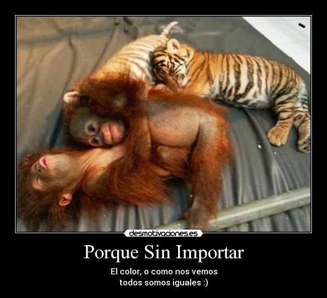 Porque Sin Importar - El color, o como nos vemos
todos somos iguales :)