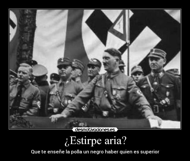 ¿Estirpe aria? - Que te enseñe la polla un negro haber quien es superior