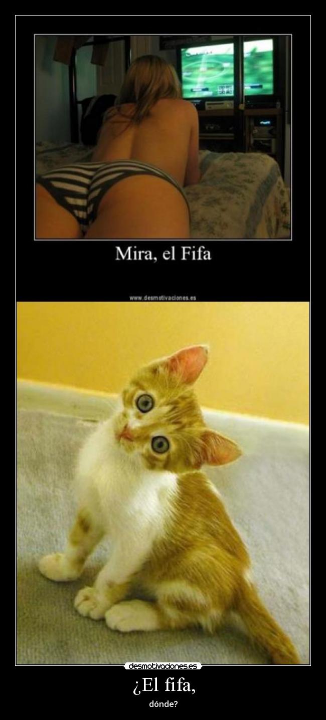 ¿El fifa, - dónde?