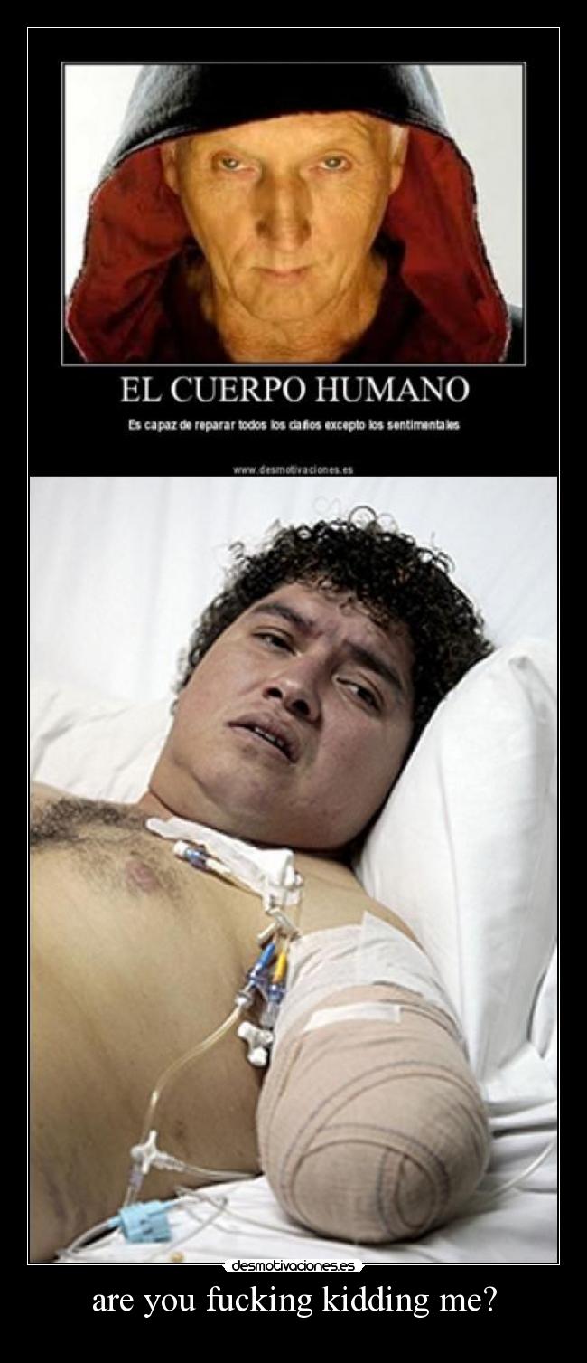 are you fucking kidding me? - 