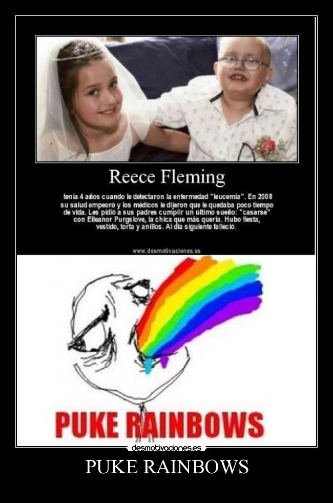 PUKE RAINBOWS - 
