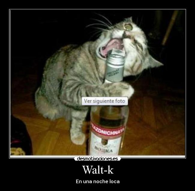 Walt-k -