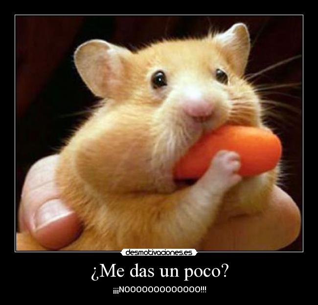 ¿Me das un poco? - ¡¡¡NOOOOOOOOOOOOO!!!