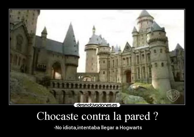 Chocaste contra la pared ? -  -No idiota,intentaba llegar a Hogwarts