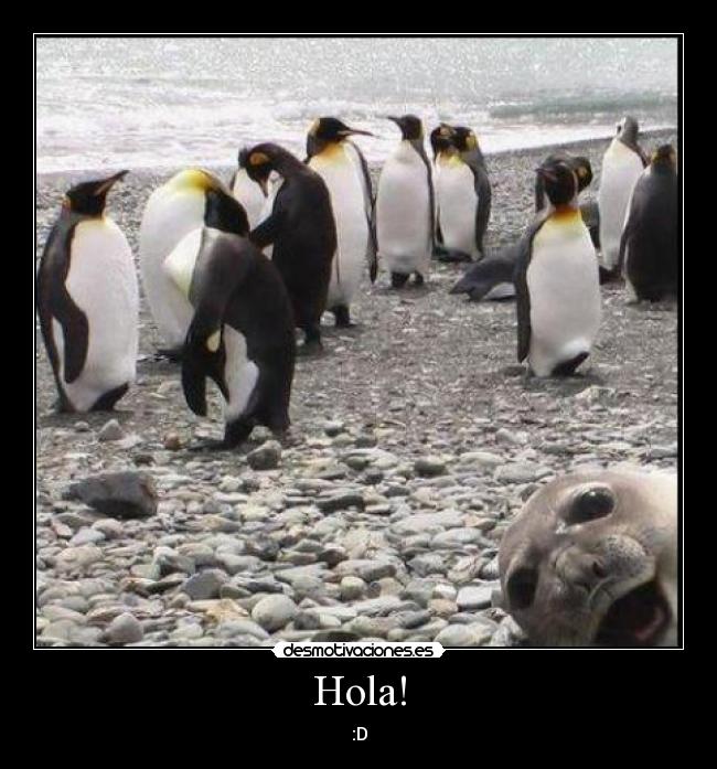 Hola! -