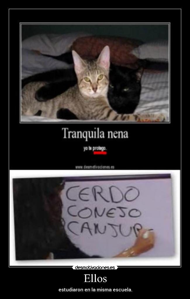 Ellos - estudiaron en la misma escuela.