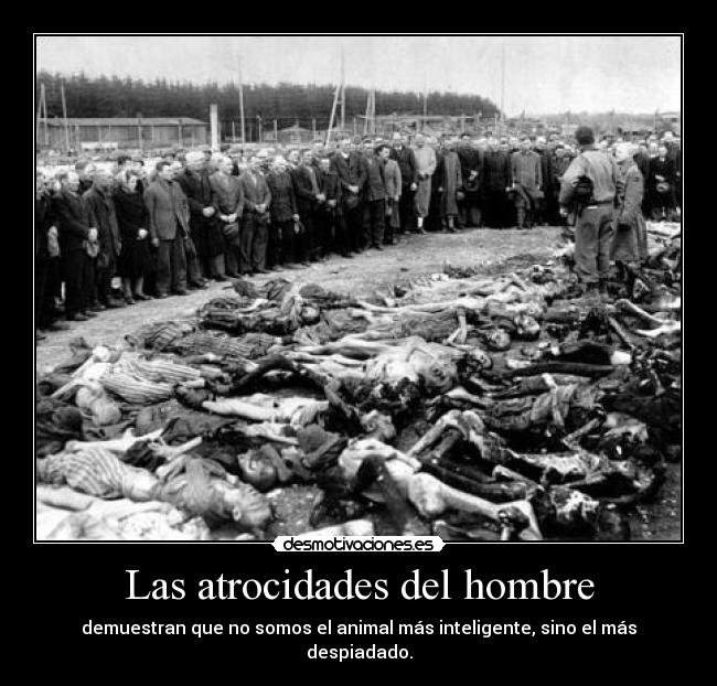 carteles terasbetoni holocausto desmotivaciones