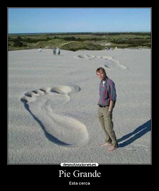 carteles laufayasoyioo desmotivaciones