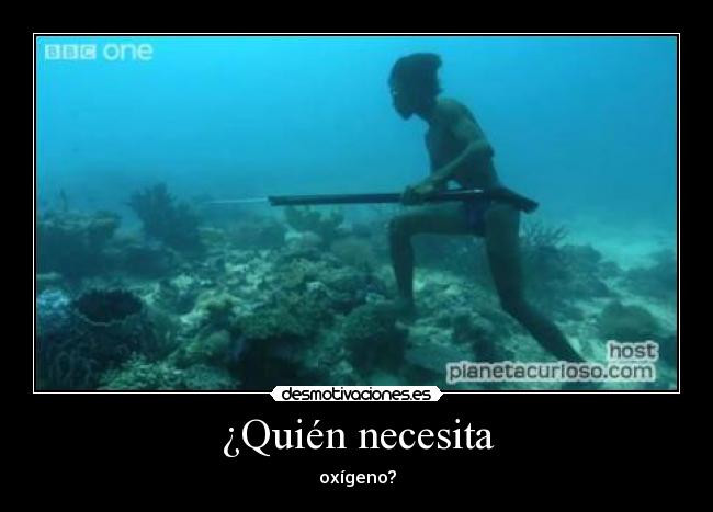 ¿Quién necesita -