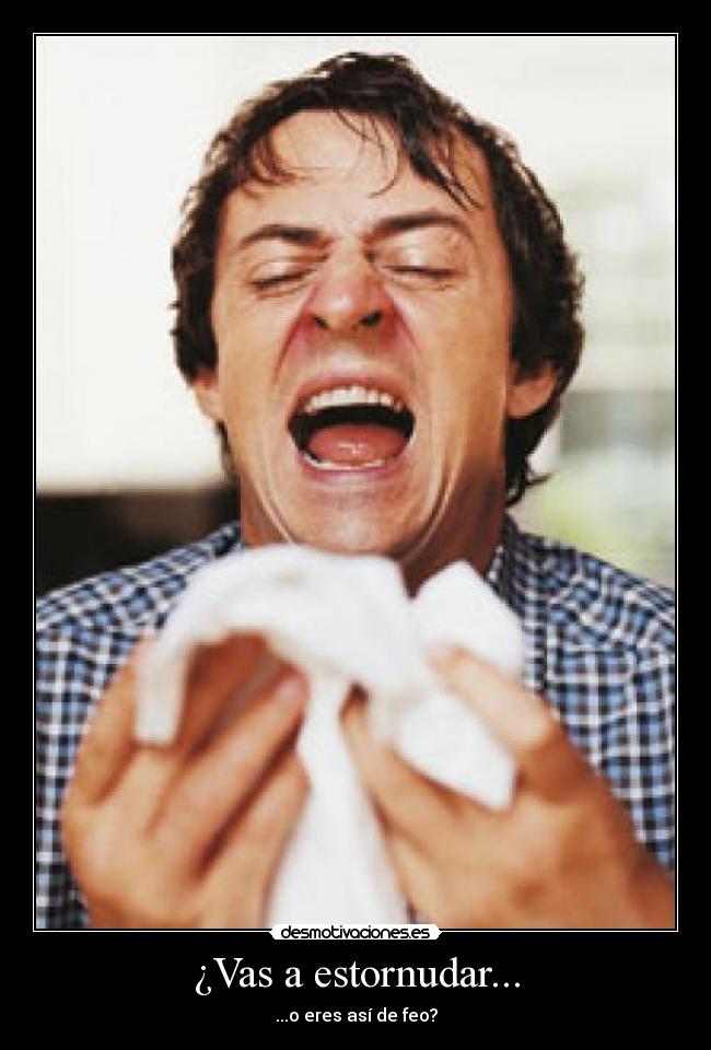 ¿Vas a estornudar... - ...o eres así de feo?