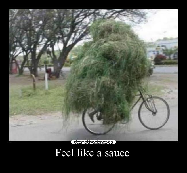 Feel like a sauce  -  