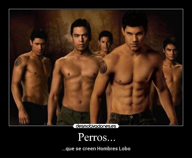 Perros... - ...que se creen Hombres Lobo