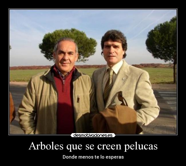 Arboles que se creen pelucas - Donde menos te lo esperas