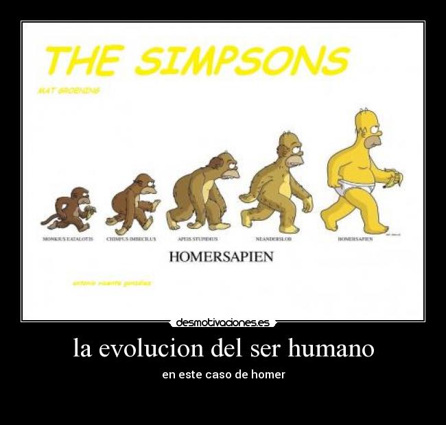 la evolucion del ser humano - 