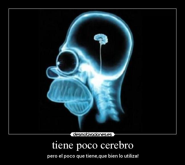 tiene poco cerebro - pero el poco que tiene,que bien lo utiliza!