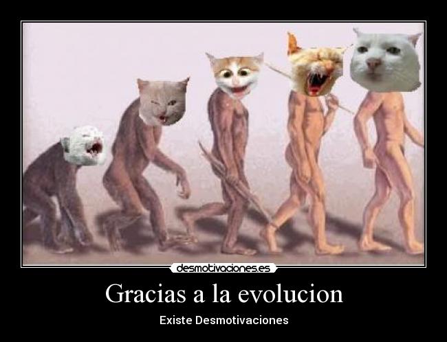 Gracias a la evolucion -